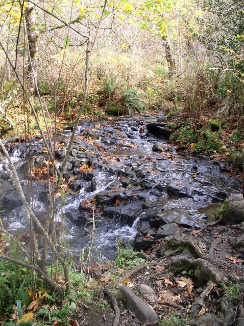 10.23.05 Angel's Rest 014 